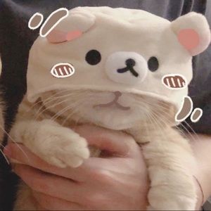 Meet your Posher, Grace